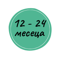 12-24 месеца