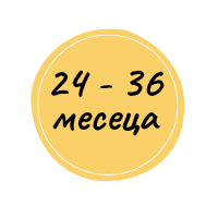 24-36 месеца